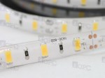 5630-60-SMD-LED-IP01